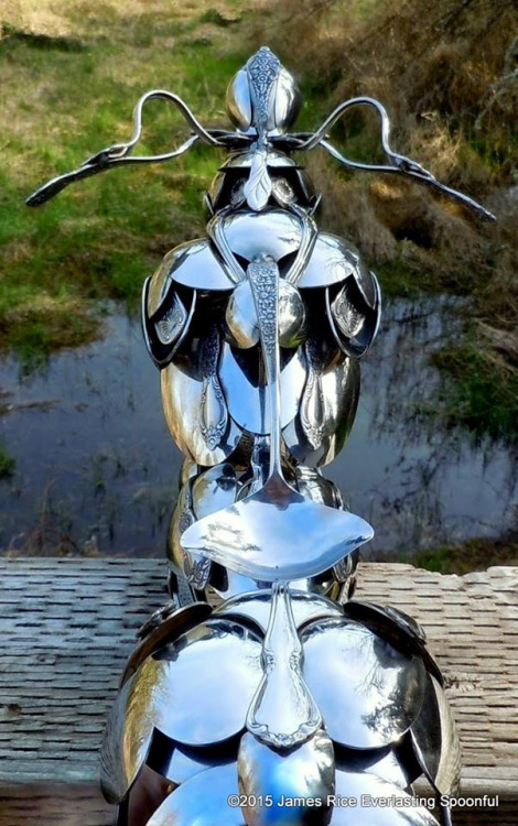 spoon motorcycle